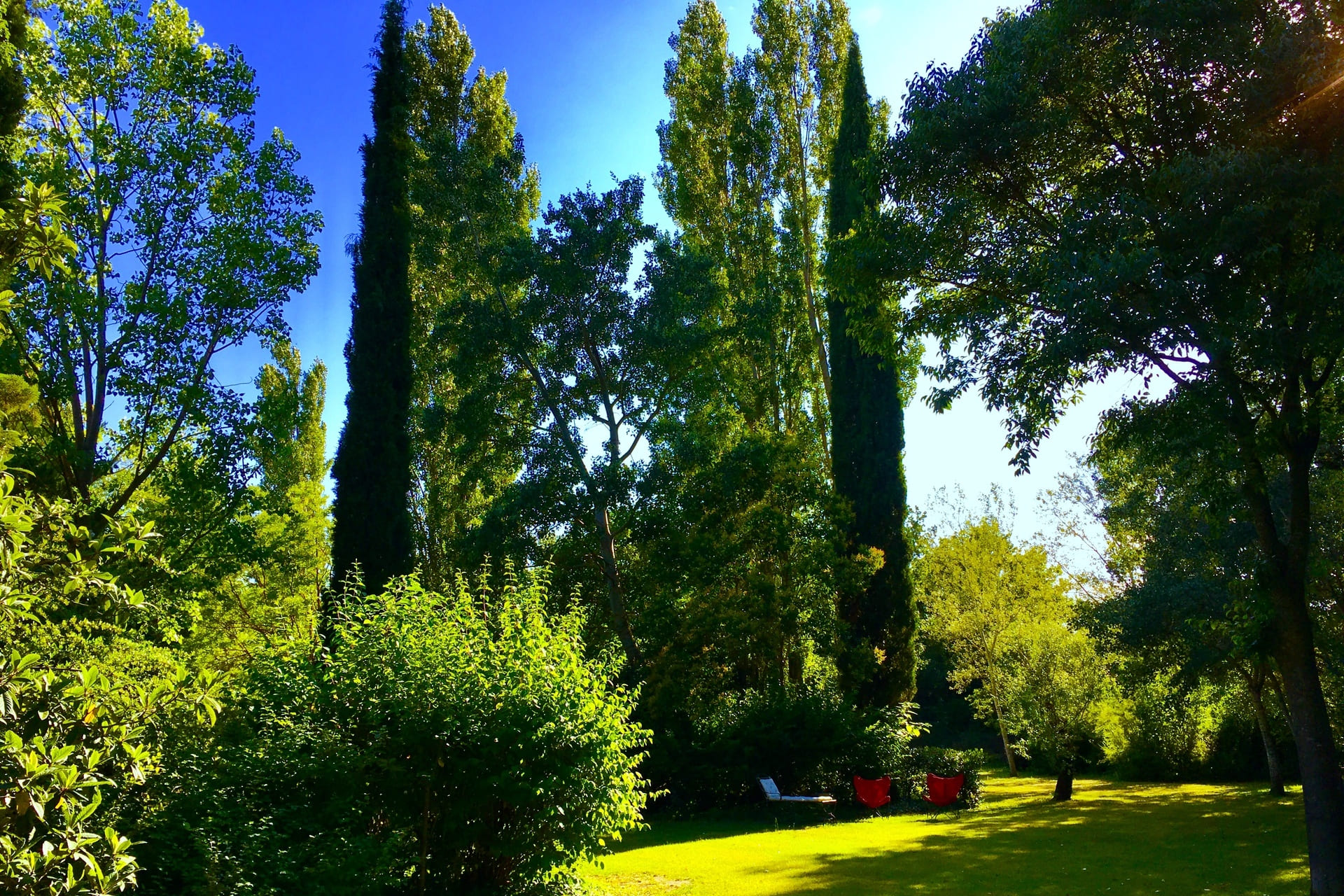 gite provence avec jardin