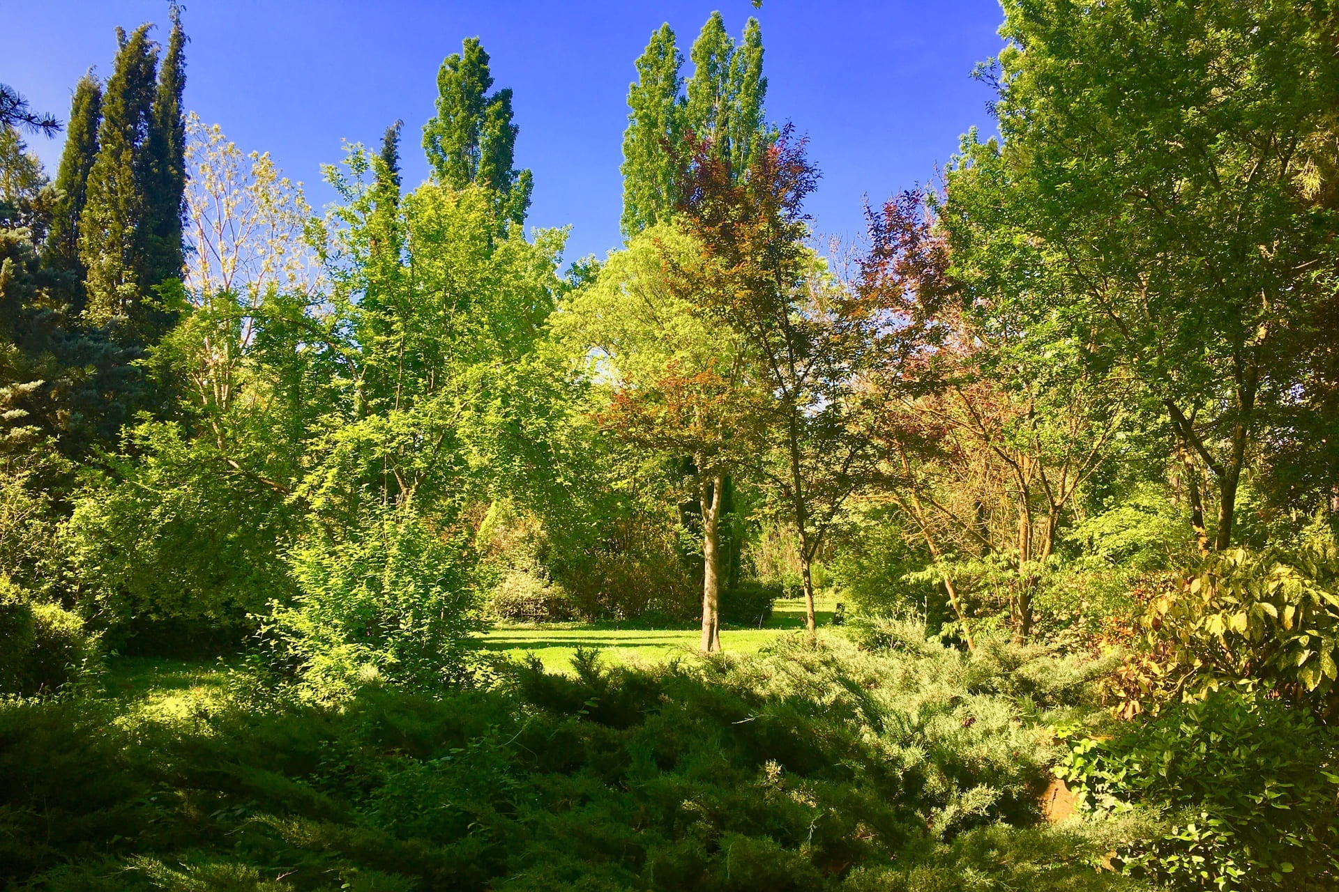 gite provence avec jardin